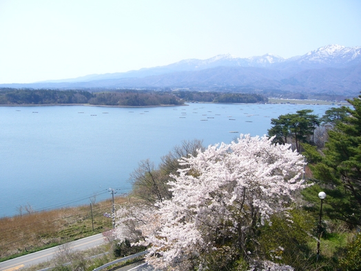 【連泊限定エコステイ】ビジネスにお薦め！温泉素泊まりプラン（掃除は1日おき）